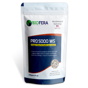 Shrimp Medicine Pro 500 WS